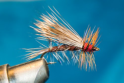 Dry_FLY023.jpg