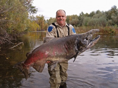 salmon-1.jpg