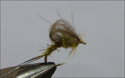 Olive & Grey Emerger м.jpg