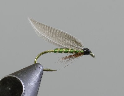 wet_fly2.jpg