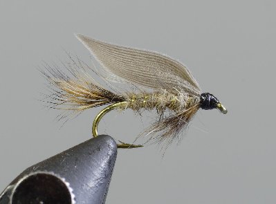 wet_fly1.jpg