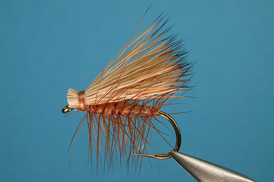 elk_hair_caddis.jpg