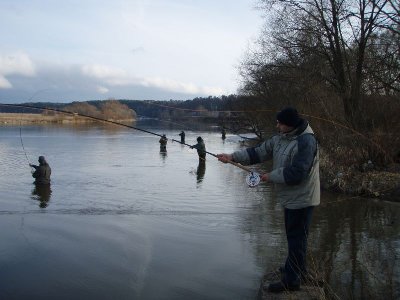 Полоскание шнуров.jpg