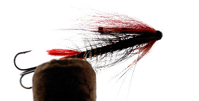 Hohloma Spey Shrimp_bw_1200.jpg