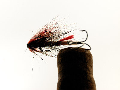 Hohloma Spey Shrimp_bw2_1200.jpg