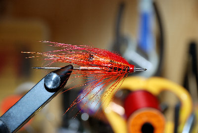 Tube Spey Shrimp_1200.jpg