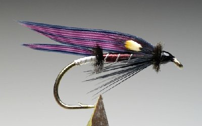 2004_category_5_wetfly.jpg